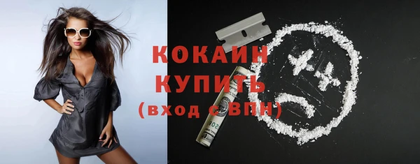 дмт Осинники