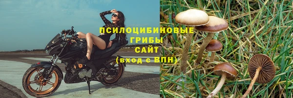 мет Пересвет