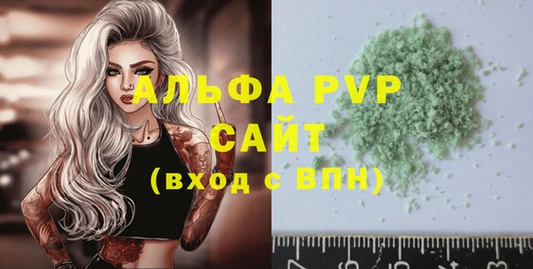 стаф Пестово