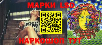 индика Гатчина