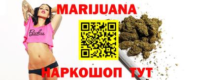 индика Гатчина