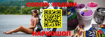 индика Гатчина