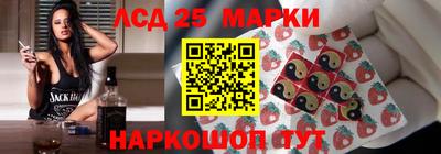 индика Гатчина