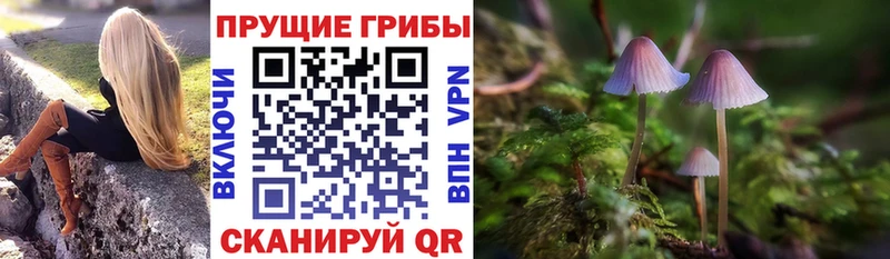 Галлюциногенные грибы Cubensis OMG ссылки Карпинск