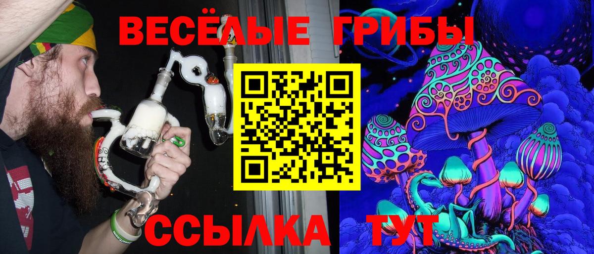 Галлюциногенные грибы прущие грибы  Галлюциногенные грибы ЛСД  Карпинск  Вход с VPN 